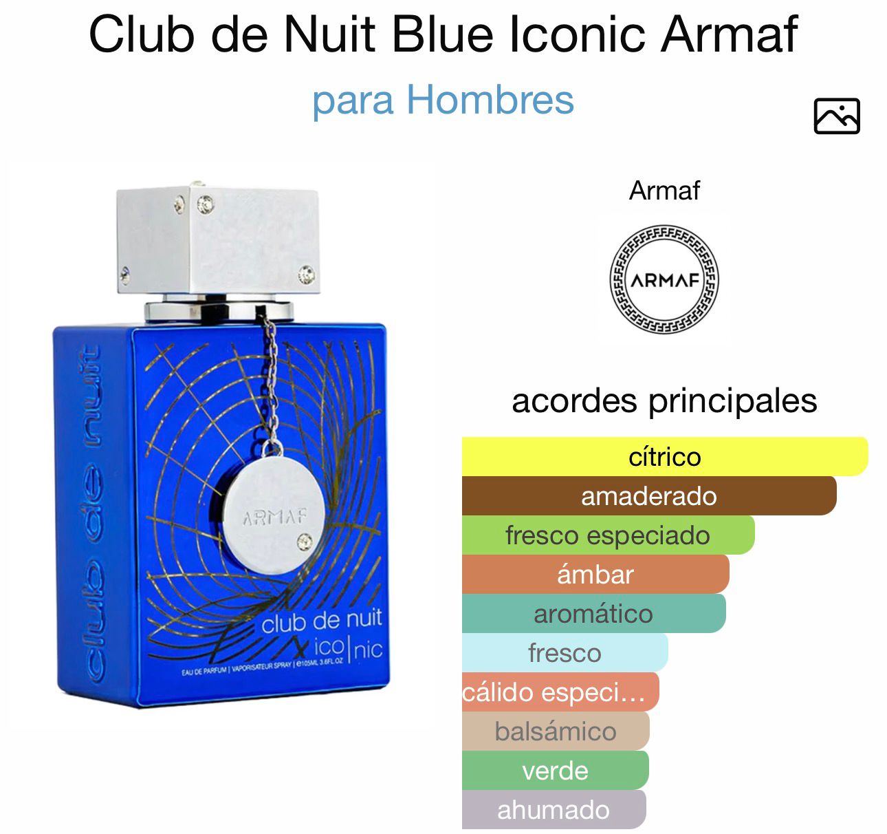 club de nuit iconic