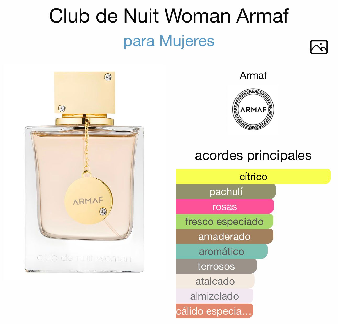 club de nuit woman