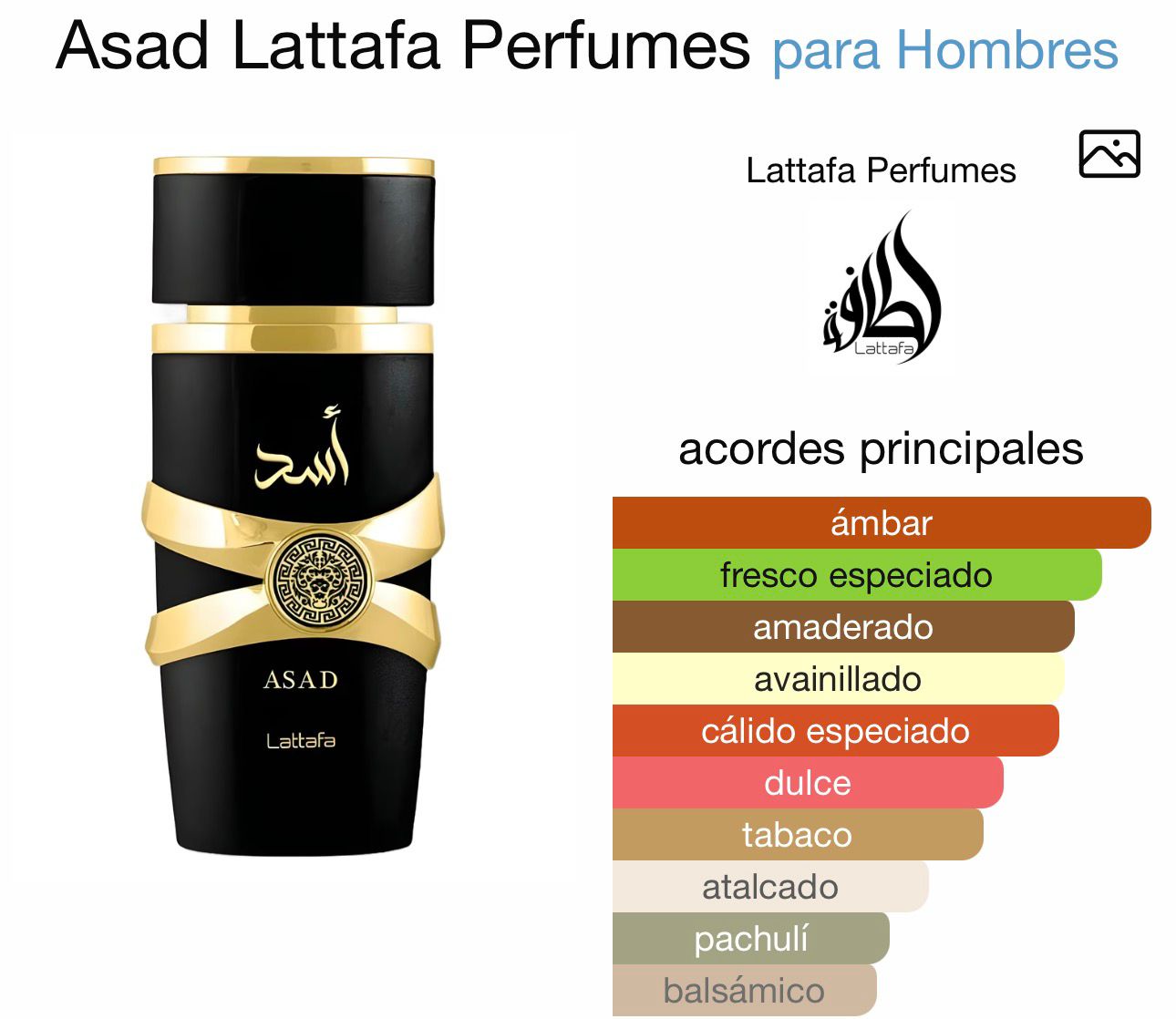 asad lattafa