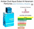 aqua dubai100ml