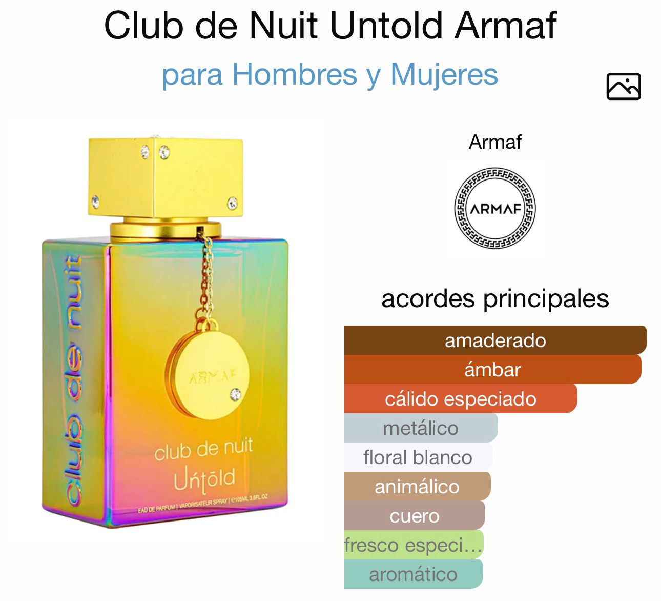 club de nuit untold