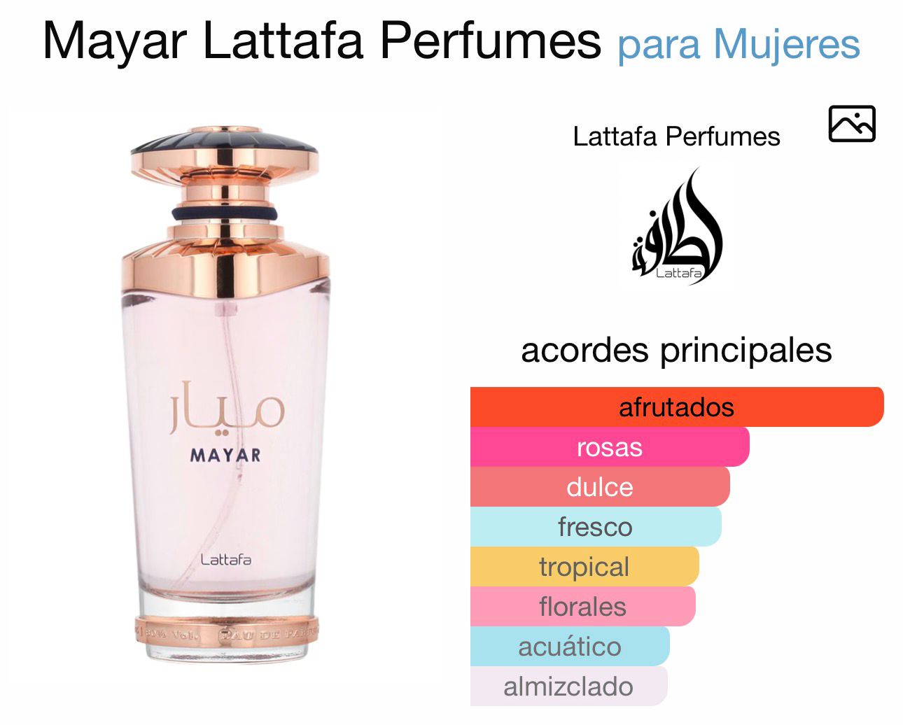 mayar lattafa