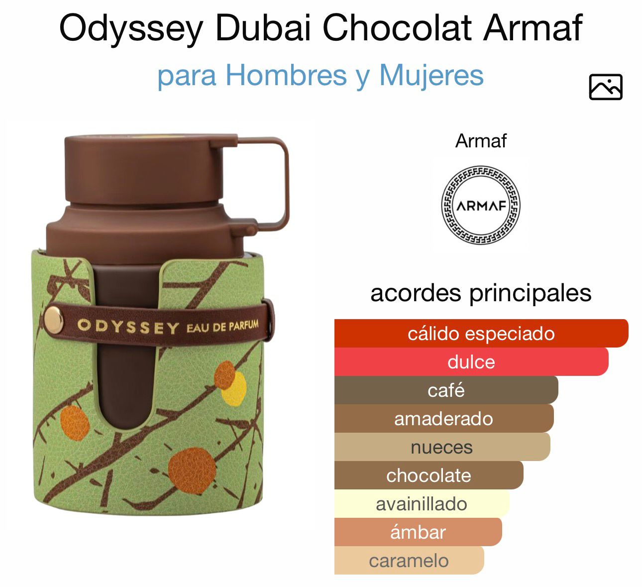 odyssey dubai chocolat