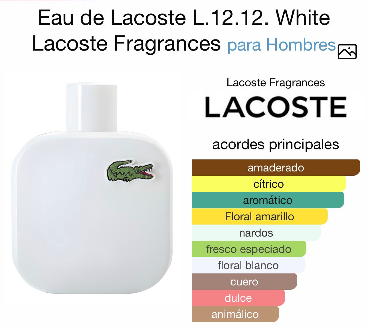 lacoste blanc edt 175