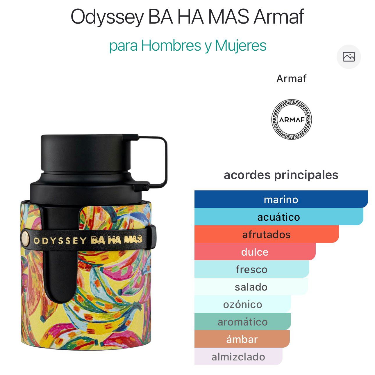 odyssey BA HA MAS